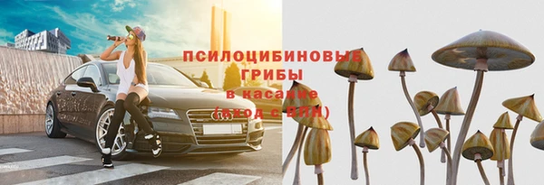 сатива Баксан