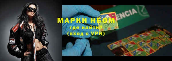 сатива Баксан