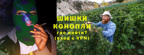 сатива Баксан