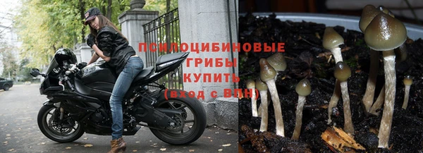 винт Балабаново