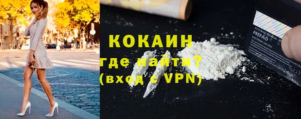 сатива Баксан