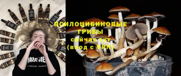 винт Балахна