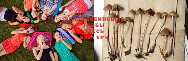 винт Балабаново