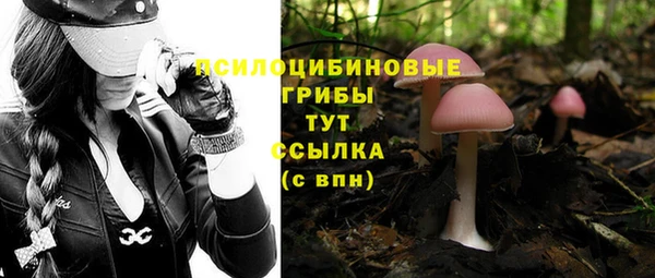 винт Балабаново