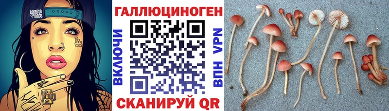 OMG маркетплейс  Семилуки  Псилоцибиновые грибы Magic Shrooms 
