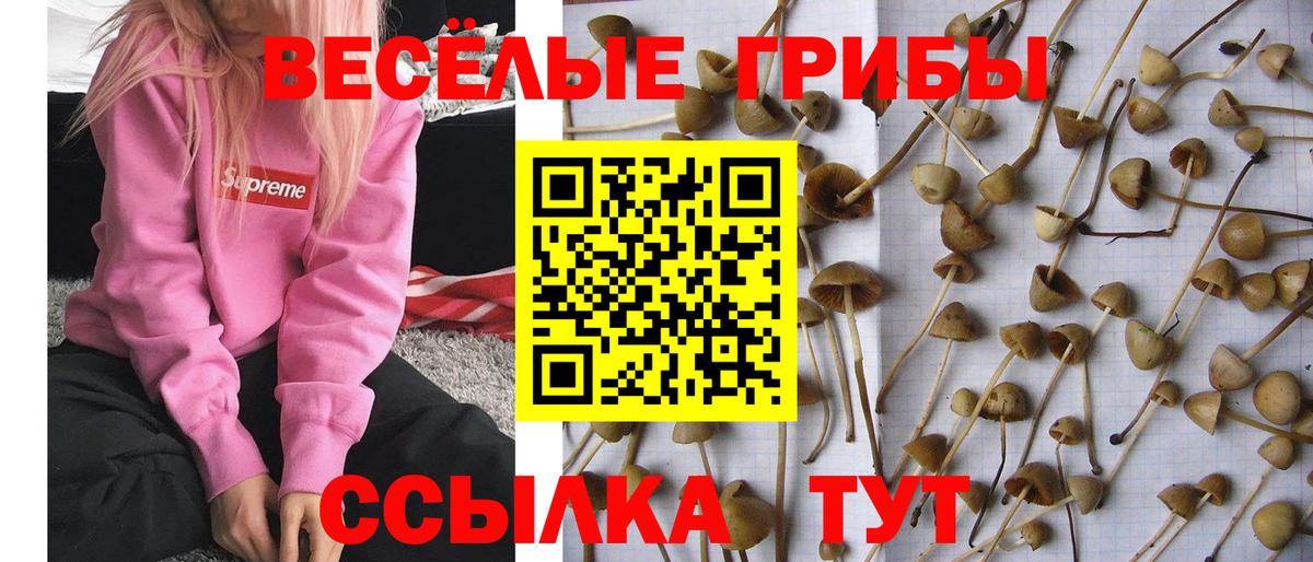 Галлюциногенные грибы MAGIC MUSHROOMS Семилуки
