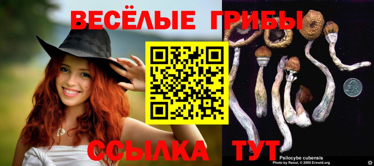 Галлюциногенные грибы Cubensis  Вход с VPN  Псилоцибиновые грибы Magic Shrooms  Семилуки 